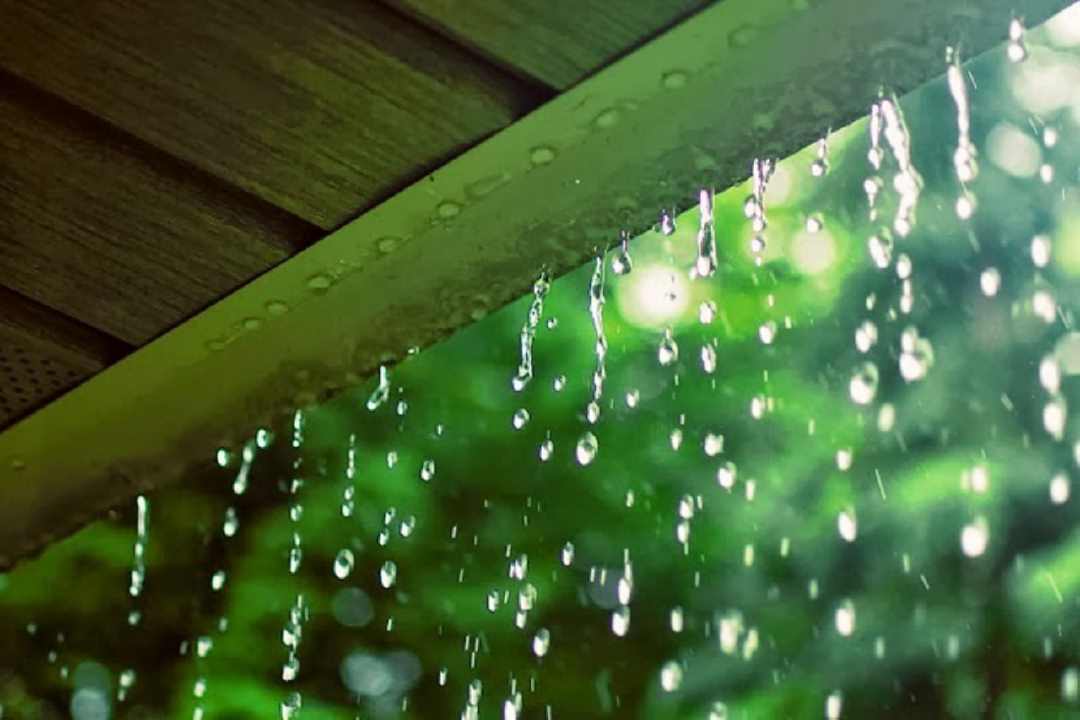 Nằm mơ thấy mưa rơi tí tách bên hiên nhà