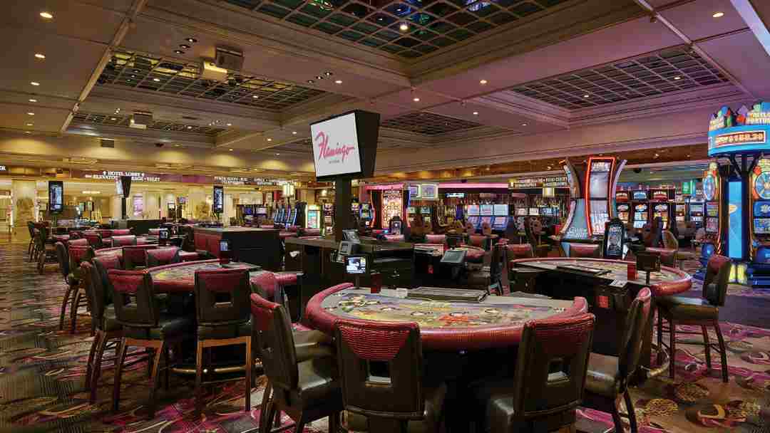 Pailin Flamingo Casino đến từ quốc gia nổi tiếng với hoạt động kinh doanh cờ bạc Campuchia 